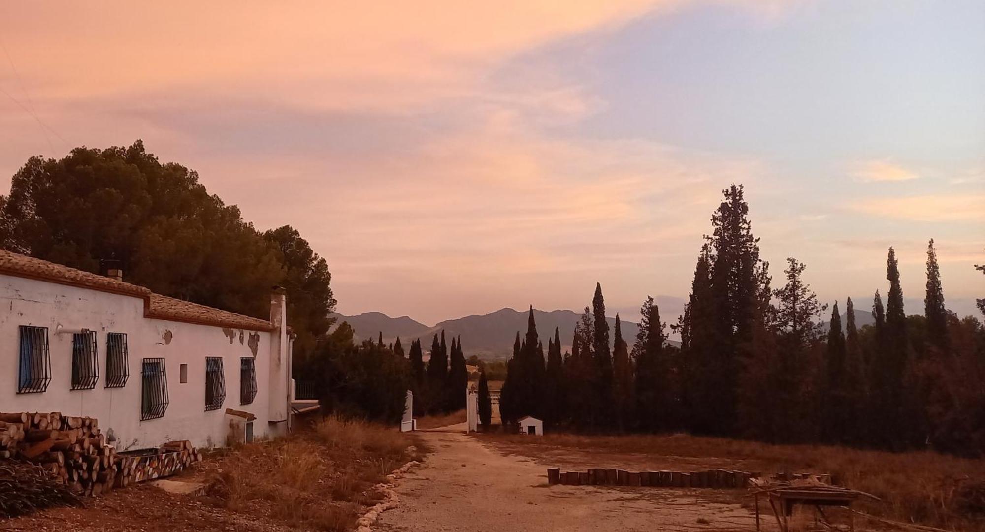 Casa Rural Vista Magdalena Yecla Esterno foto
